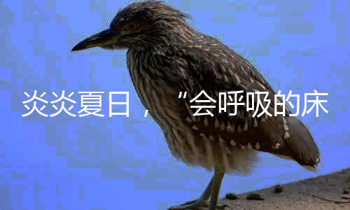 让你一天都充满活力与斗志