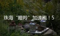 珠海“瞪羚”加速跑！57家企业上榜，新一代信息技术“领衔”