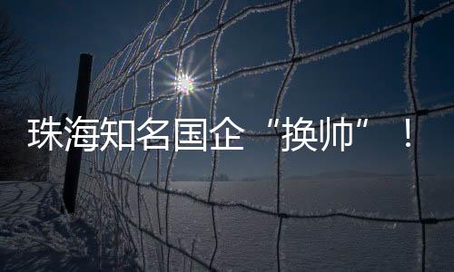 换帅在国资委任职期间