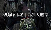 珠海啄木鸟｜九洲大道跨白石路桥要怎么走？网友建议
：均可直行，请勿逗留！