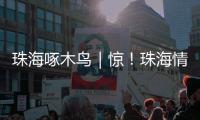 珠海啄木鸟｜惊！珠海情侣南路附近海面发现“油污”？真相竟是……