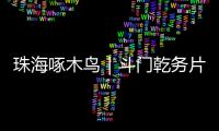 珠海啄木鸟｜斗门乾务片区排水管建设工程项目缺口资金已到位�，力争今年底完工