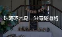 珠海啄木鸟｜洪湾隧道路面破损20米，却迟迟未修