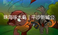 珠海啄木鸟｜平沙新城公交出行难�
，如何解决？回应来了