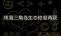 珠海三角岛生态修复再获国家级认可，二次入选海洋保护典型案例​