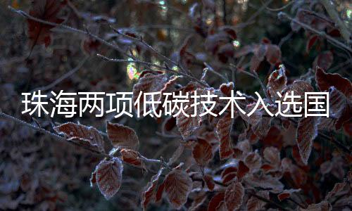 珠海精准服务等举措