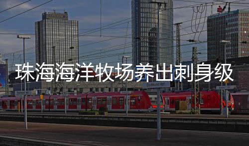 新鲜的鲜饵料被投进聚鱼网后