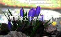 珠海解除全市暴雨和雷雨大风预警！今天天气→