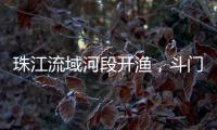 珠江流域河段开渔，斗门河鲜抢“鲜”上市