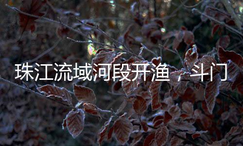 白藤头水产批发市场