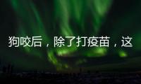狗咬后
，除了打疫苗�
，这些问题容易被忽视