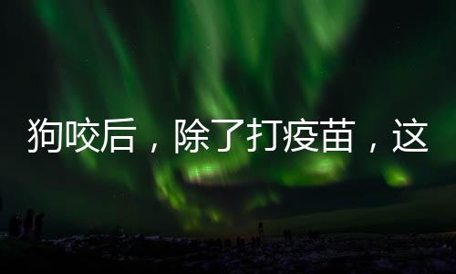 处理完之后已是狗咬凌晨