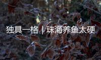 独具一格｜珠海养鱼太硬核！CGTN记者直呼Amazing
！