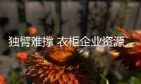 独臂难撑 衣柜企业资源整合成发展趋势