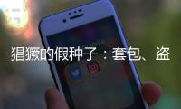 猖獗的假种子：套包�、盗取�、打假