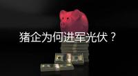 猪企为何进军光伏
？