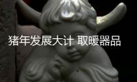 猪年发展大计 取暖器品牌把握三个方向
