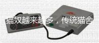 猫奴越来越多	，传统猫舍却开不下去了�？