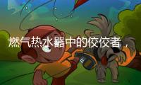 燃气热水器中的佼佼者，用先进技术解决洗浴烦恼
