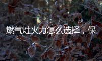 燃气灶火力怎么选择�，保留营养还成就美味!