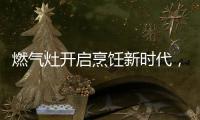 燃气灶开启烹饪新时代�，丰蓝1号燃气灶电池赋能美味佳肴