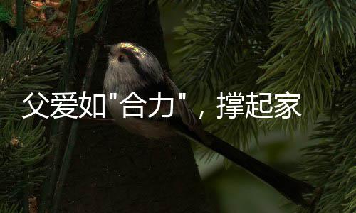 稳稳托起家的撑起责任