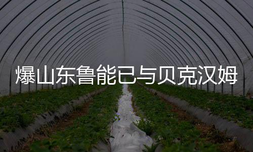 迷即即便小贝要来中国