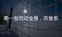 牵一发而动全身	，农食系统绿色转型谁在“突围”
	？｜2024企业双碳行动力调研