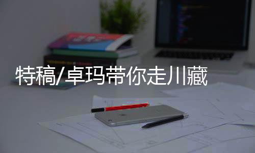 美景上山体验挖虫草等