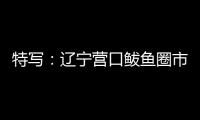 特写：辽宁营口鲅鱼圈市民以积极心态面对疫情