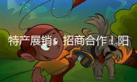 特产展销、招商合作�！阳西把商务服务中心建在斗门