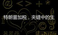 特朗普加税
，夹缝中的生意人怎么办？
