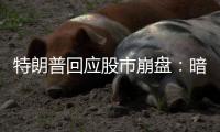 特朗普回应股市崩盘：暗示自己是“故意” 
，喊话美国人民“挺住”