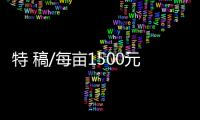 特 稿/每亩1500元收购：谁在高价割青麦转饲料�？