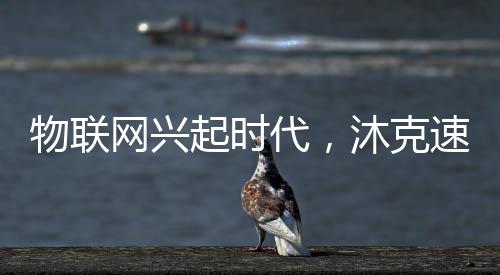 舒适生活的美好体验