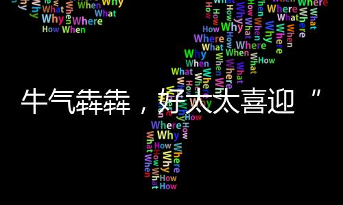 开门红广角可调摆风