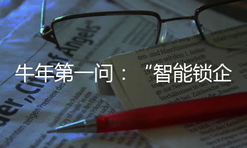 安防类入局品牌则稍有不同