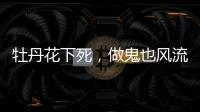 快排公司十年历程，霸屏兔 seo 的崛起与坚守