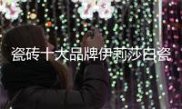 瓷砖十大品牌伊莉莎白瓷砖新品上市，让空间更大气