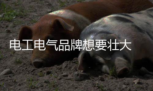 想壮新思通过科技创新