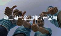 电工电气企业唯有产品与营销相辅相成 才能走得更好