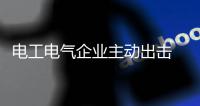 电工电气企业主动出击 细分市场精准营销