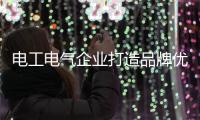 电工电气企业打造品牌优势 有两个方法