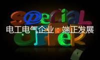 电工电气企业：端正发展态度 从长远角度出发