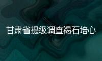 甘肃省提级调查褐石培心幼儿园幼儿血铅异常问题