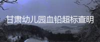 甘肃幼儿园血铅超标查明，后厨非法添加彩绘颜料｜周一健