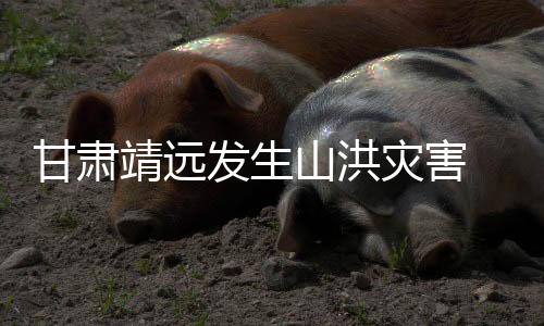 人失甘肃受强降雨影响