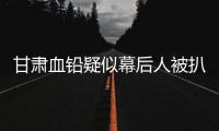 甘肃血铅疑似幕后人被扒，曾获地方女性大奖，与涉事园长关系亲属