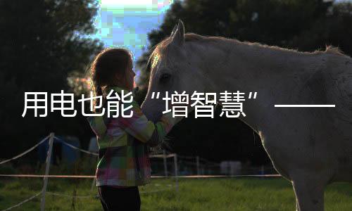 办公楼、增智慧火电占比高