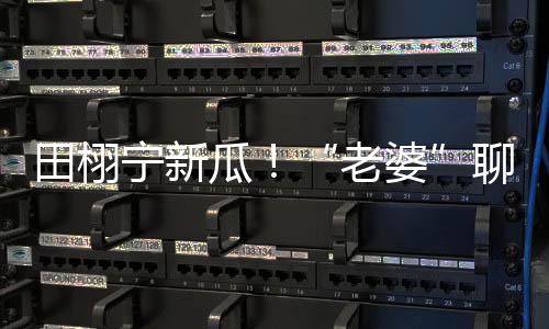 “单身”人设与实锤恋爱冲突